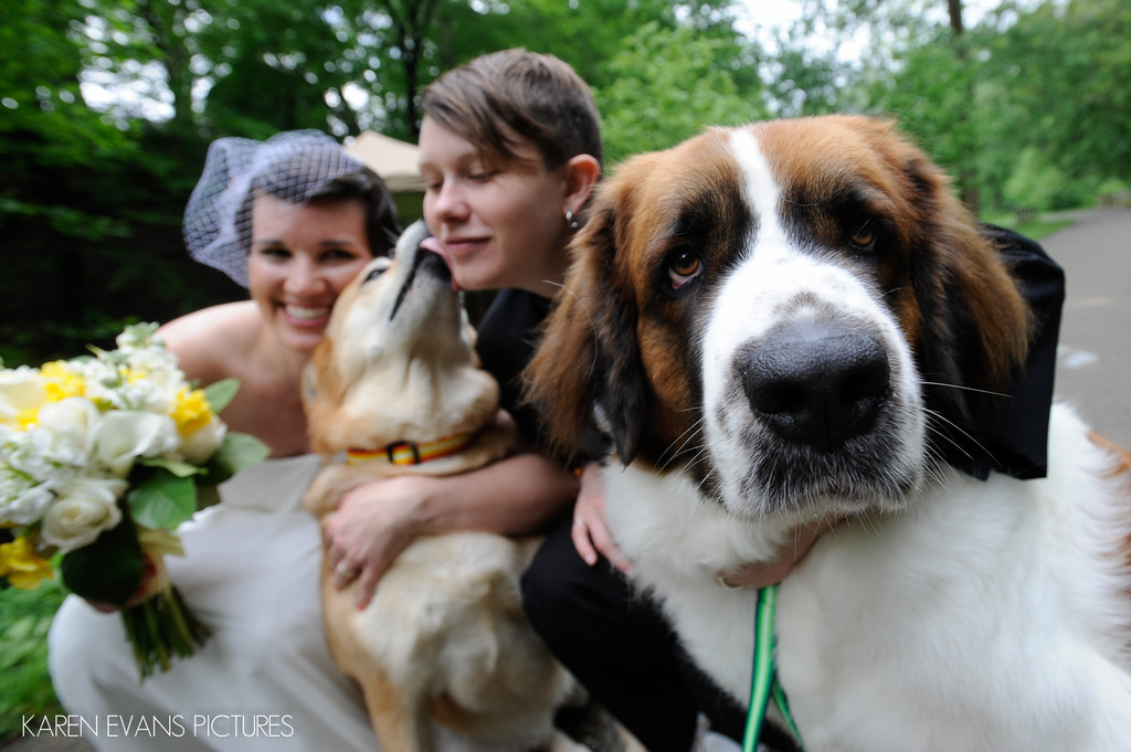 Dogs at LGBT Wedding in Columbus Ohio