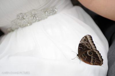 Wedding Photography at the Detroit Zoo