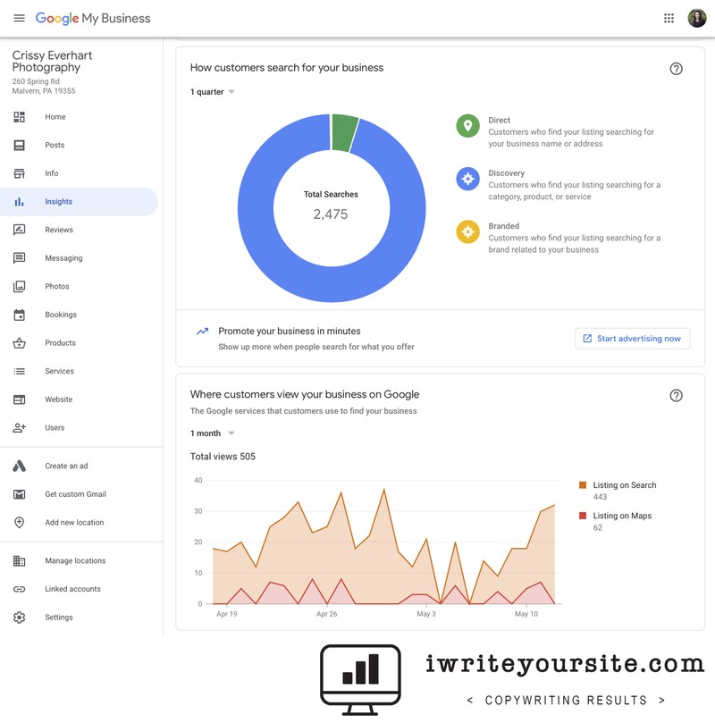 Google MyBusiness Insights Graphs