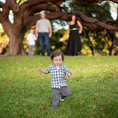 CORAL GABLES PROFESSIONAL FAMILY PHOTOGRAPHER