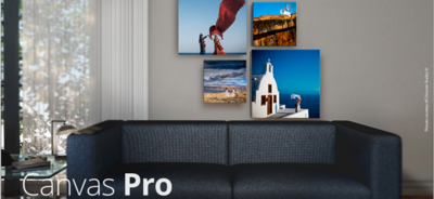 PROFESSIONAL PRINT AND CANVAS WALL ART SALES