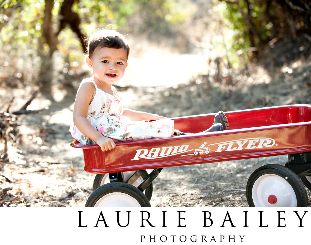 Copyright © 2012 Laurie Bailey Photography