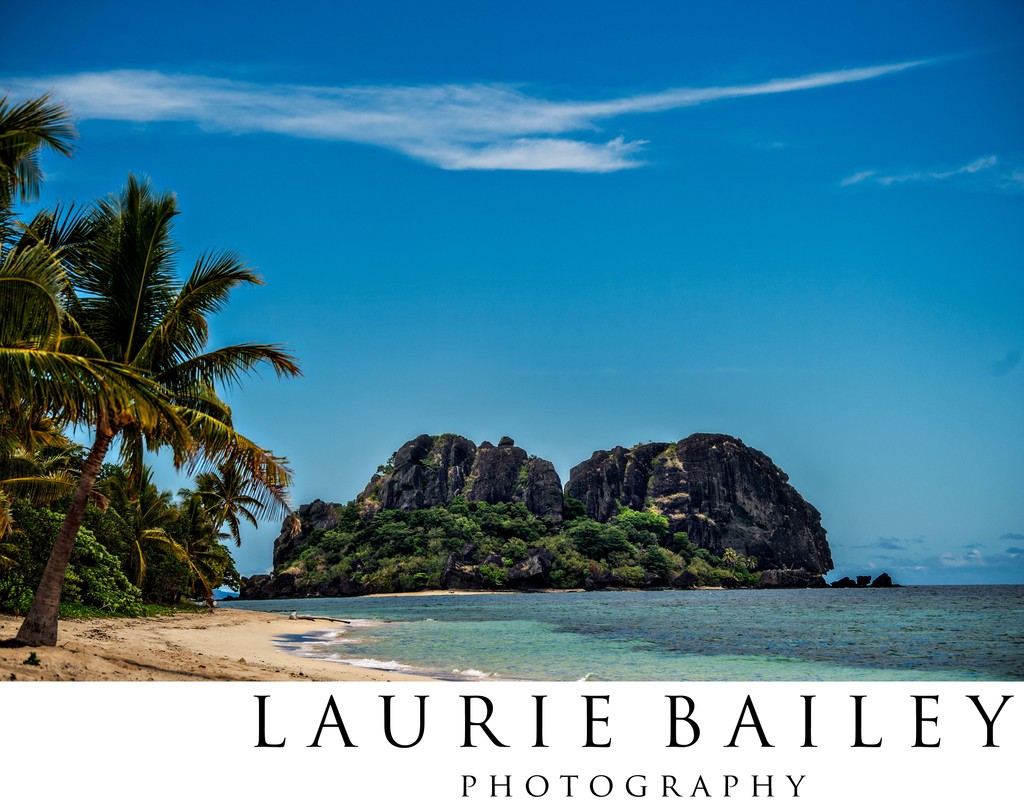 Fiji Beach Landscape | Palm Trees & Island Views