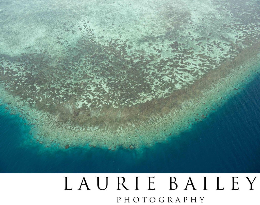 Fiji Reef from Above | Aerial Ocean Landscape