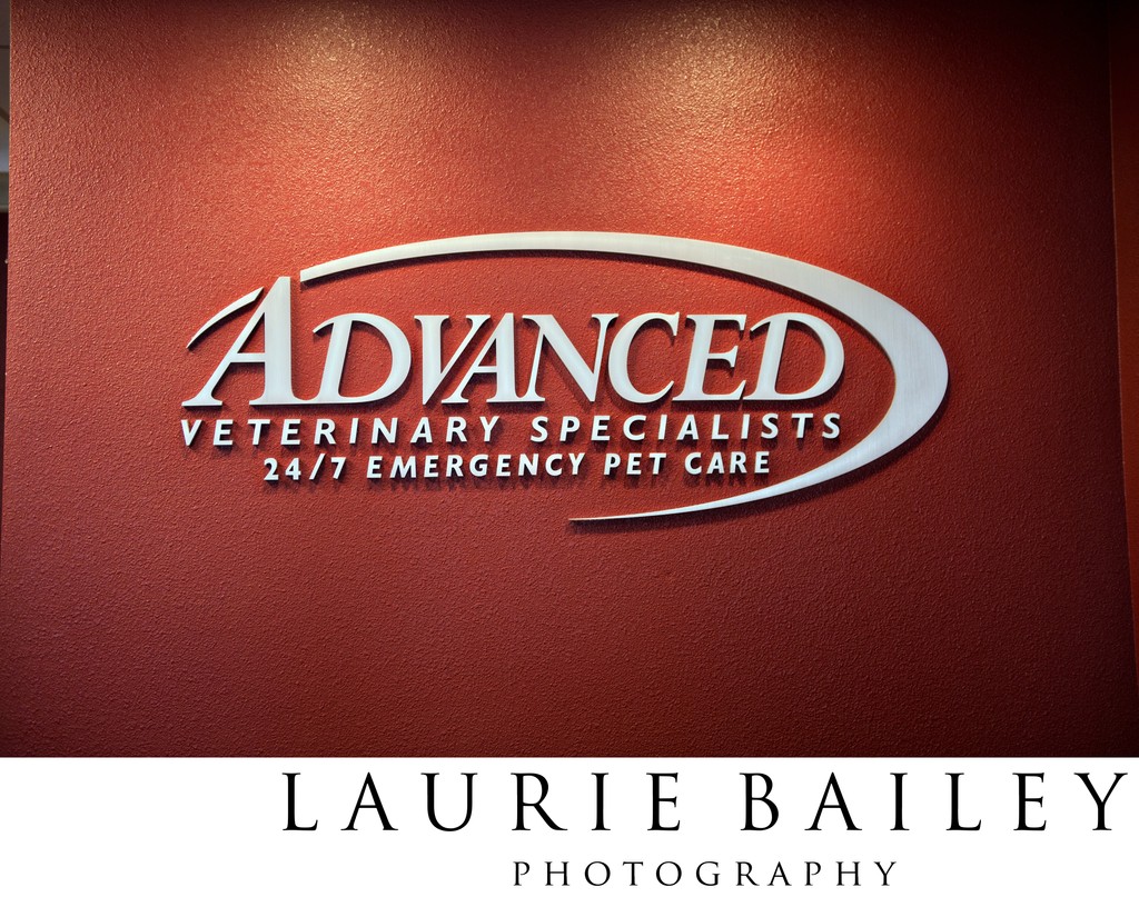 Veterinary Brand Photos in Santa Barbara