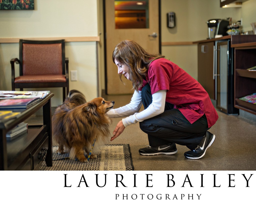 Emergency Veterinary Staff | AVS Clinic