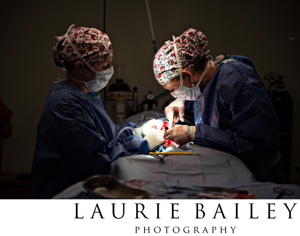 Surgical Team | Advanced Vet Specialists 
