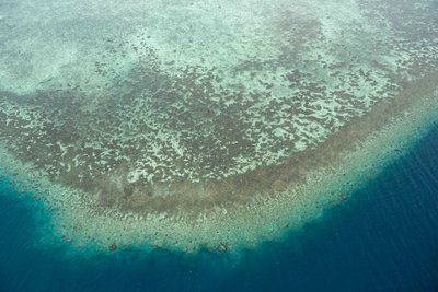 Fiji Reef from Above | Aerial Ocean Landscape