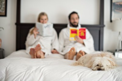 Dog Days & Downtime | Editorial Couples Photography