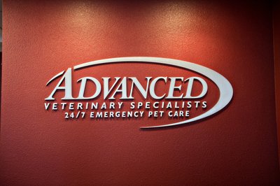Veterinary Brand Photos in Santa Barbara