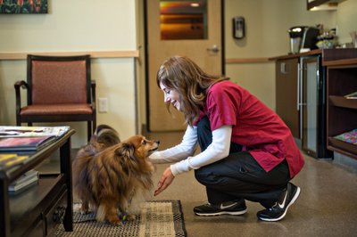 Emergency Veterinary Staff | AVS Clinic