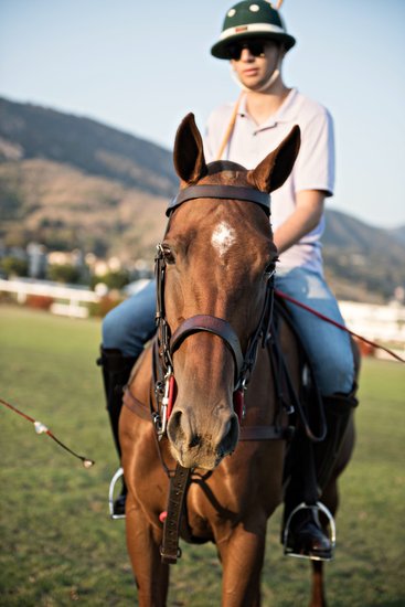 Polo Player Portrait | Equine Lifestyle Photography