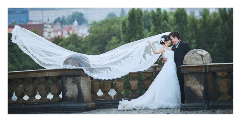 C&L posing with the veil