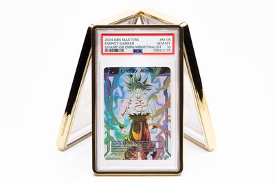 Trading Cards | San Antonio merchandise photography
