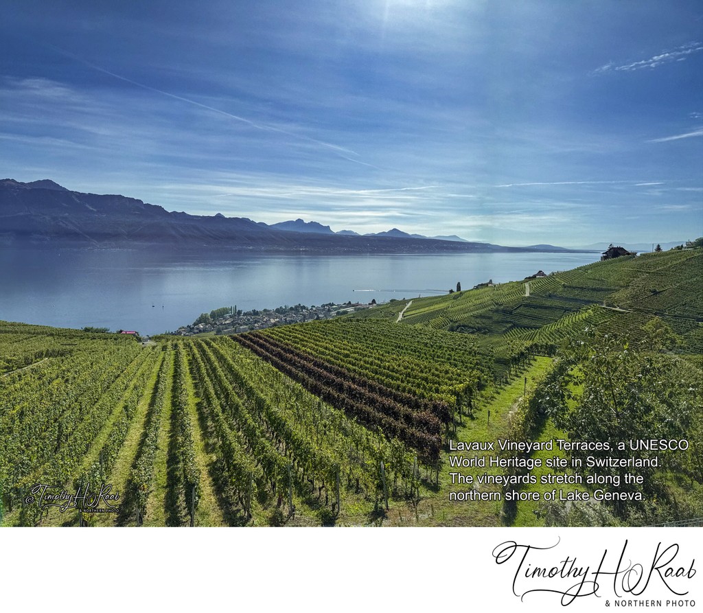 Lavaux Vineyard Terraces, a UNESCO World Heritage site in Switzerland. .The vineyards stretch along the northern shore of Lake Geneva, between Lausanne and Montreux.