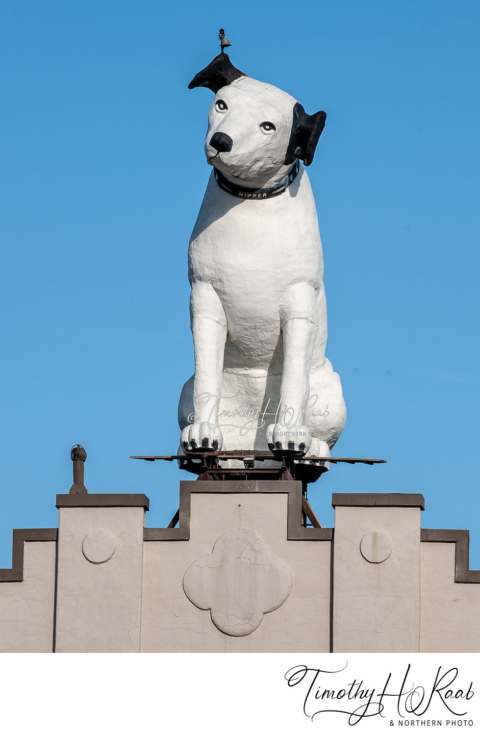 Albany's Nipper Dog Statue 1