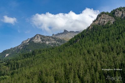 Brunegghorn?, St Nikllaus