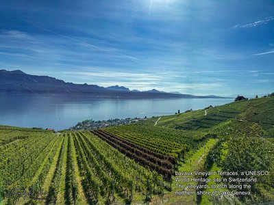 Lavaux Vineyard Terraces, a UNESCO World Heritage site in Switzerland. .The vineyards stretch along the northern shore of Lake Geneva, between Lausanne and Montreux.