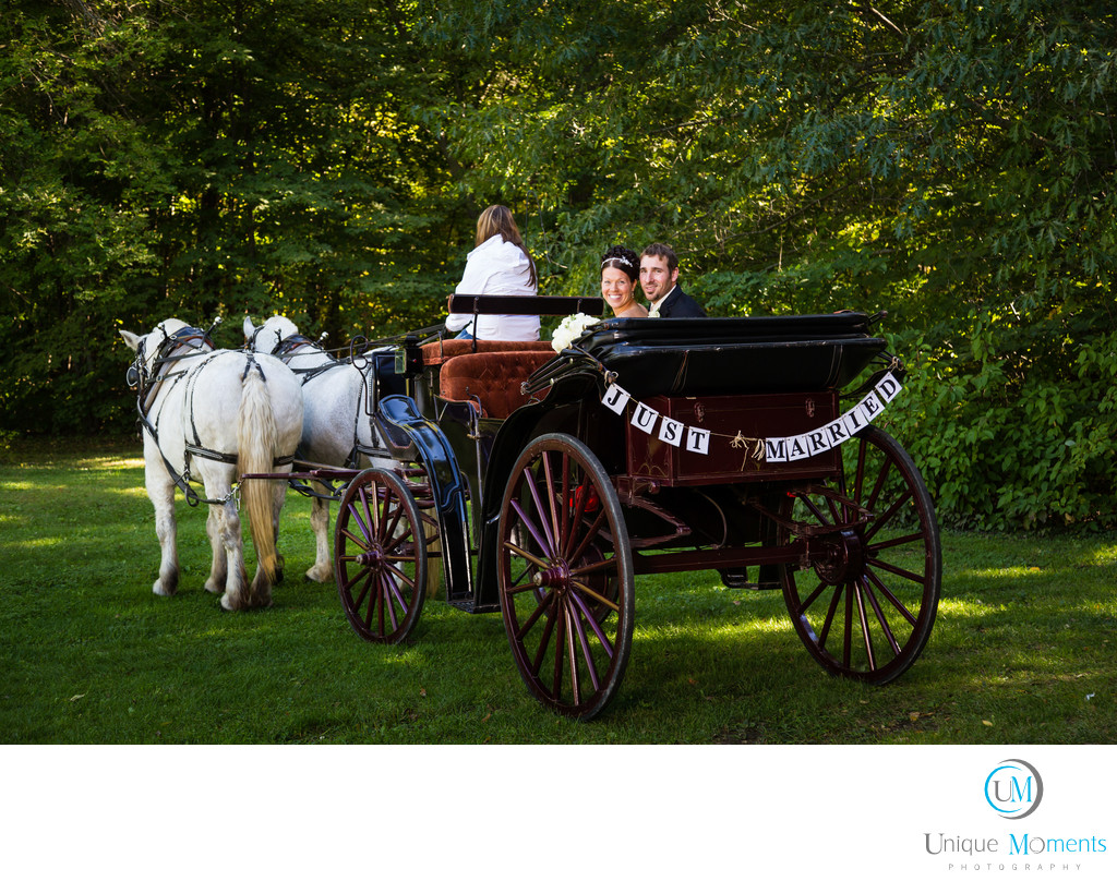Tacoma Wedding Photographer Horse and Carriage Image