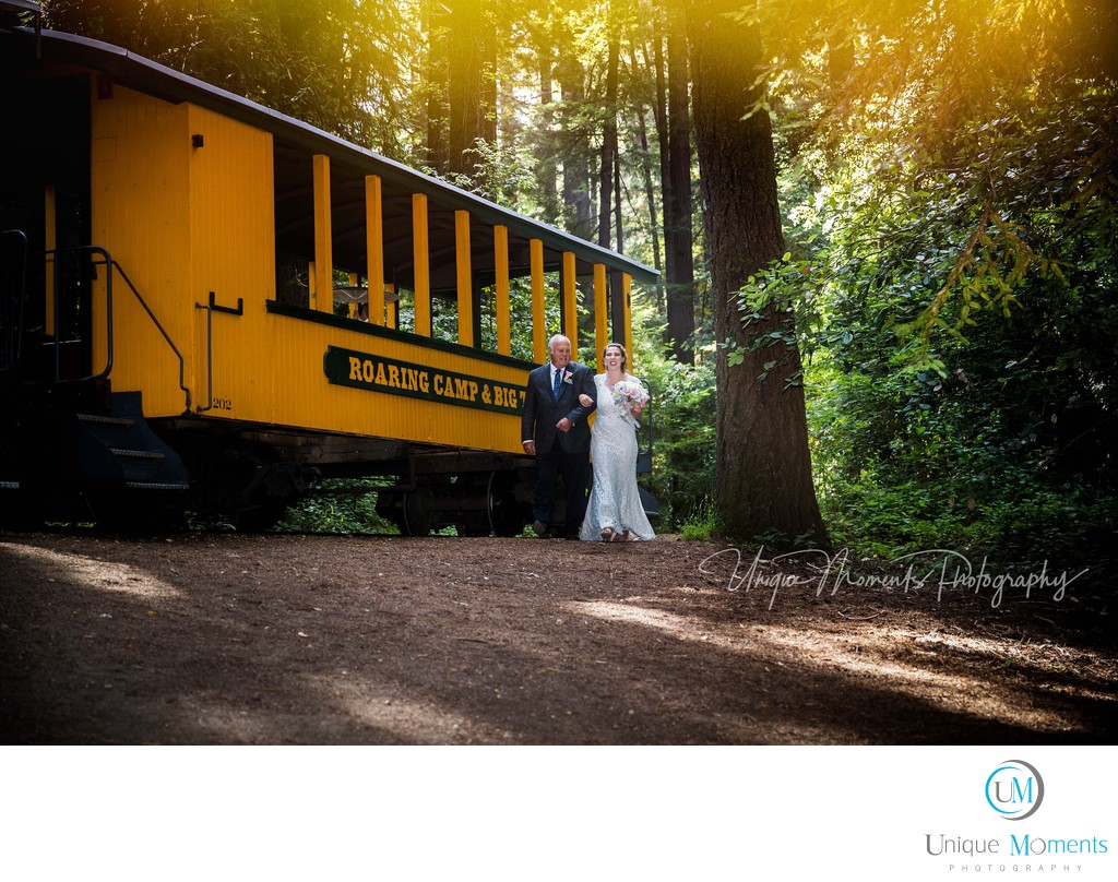 Roaring Camp Railroad Destination Wedding