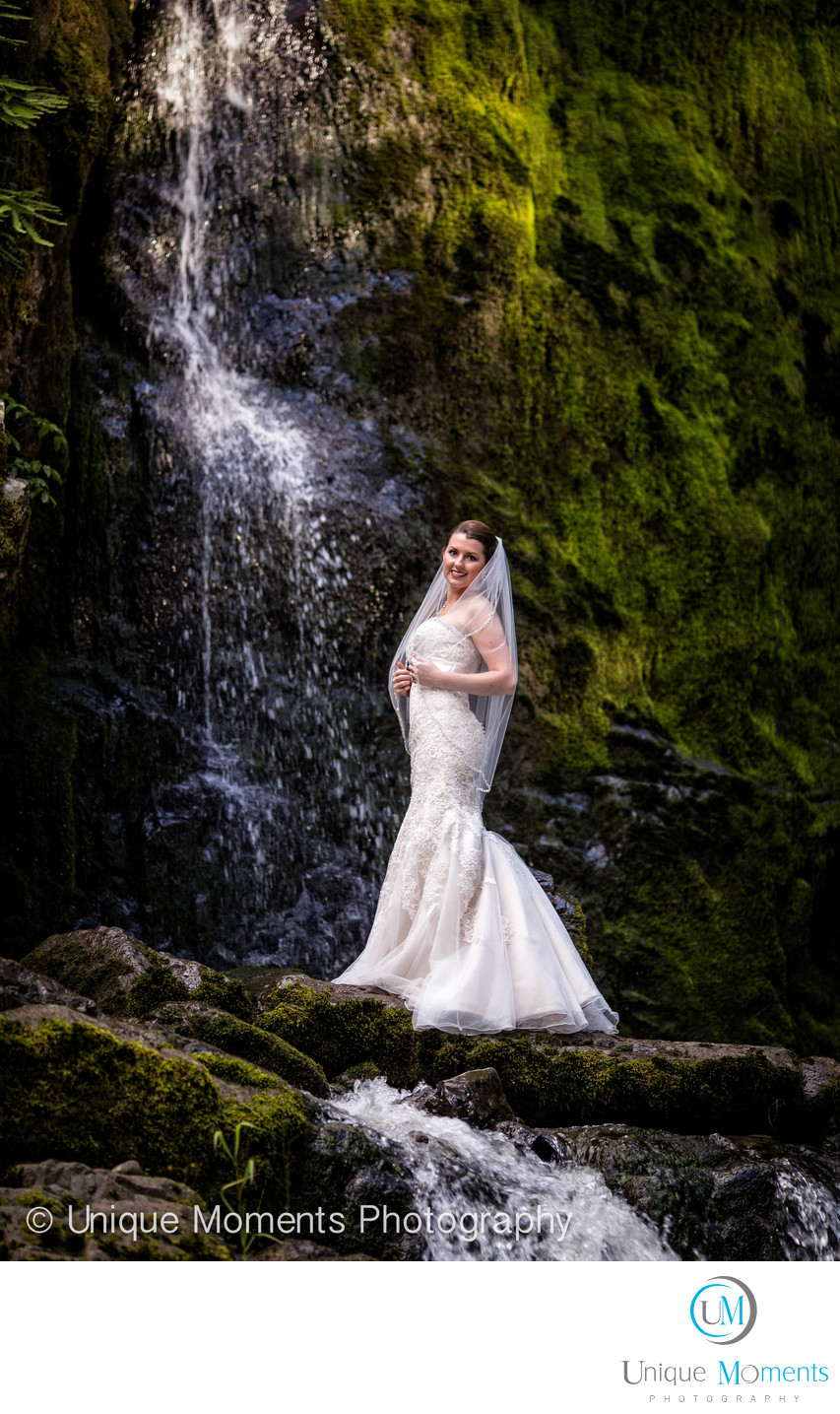 Day After Bridal Portrait Mt Rainier National Park