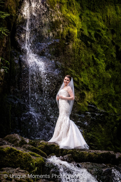 Day After Bridal Portrait Mt Rainier National Park