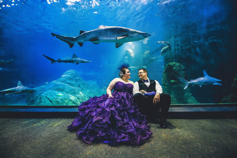 Aquarium Wedding with Sharks