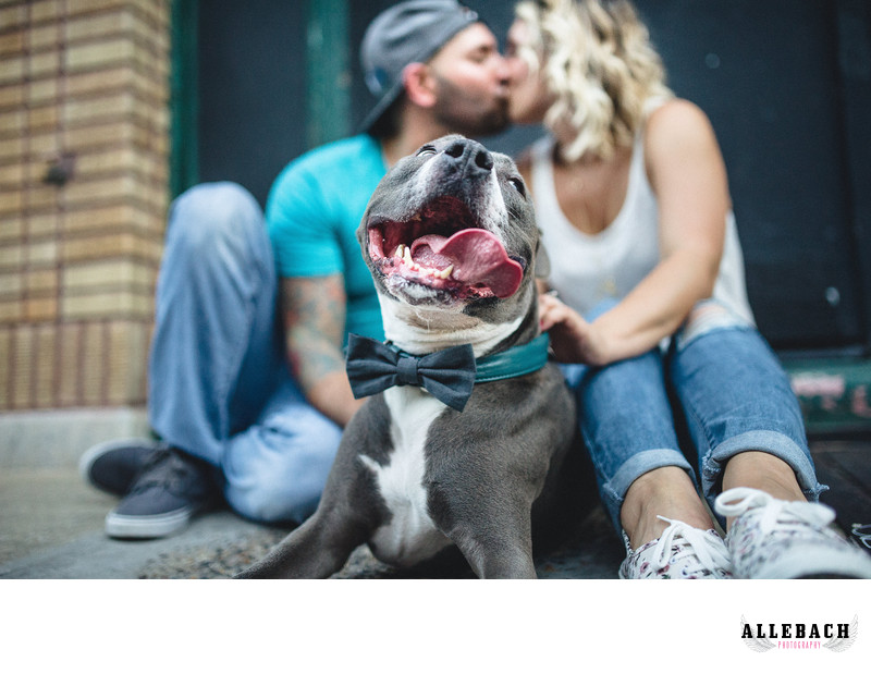 Creative South Philly Dog Engagement Photographers