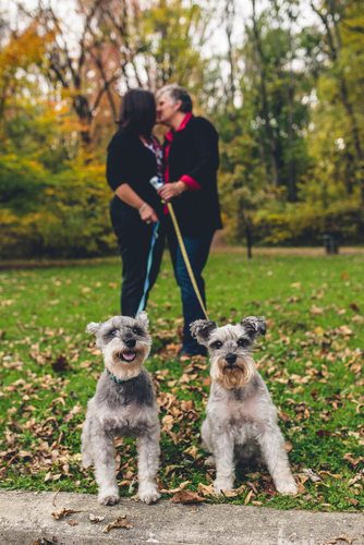 Engagement Photos with Dogs in Philadelphia