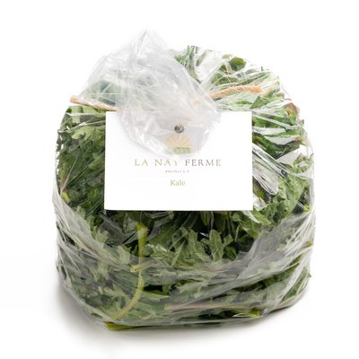 Closed and tied bag of purple kale on white