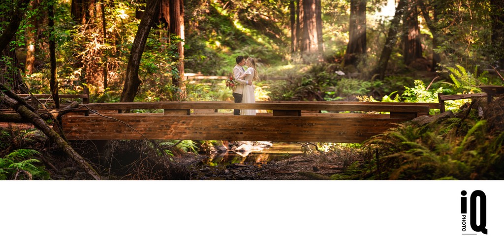 Muir Woods Wedding - Couple on the bridge