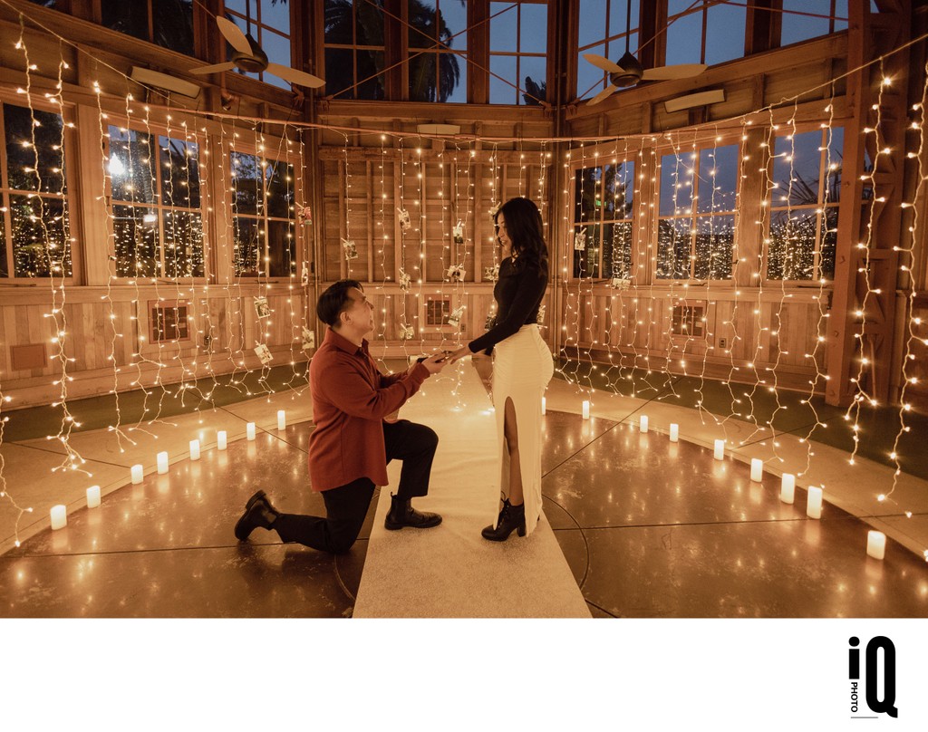 Sunnyside Conservatory Proposal