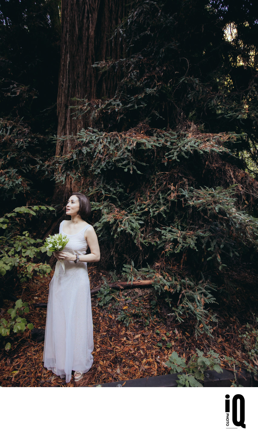 Bride Admiring Muir Woods