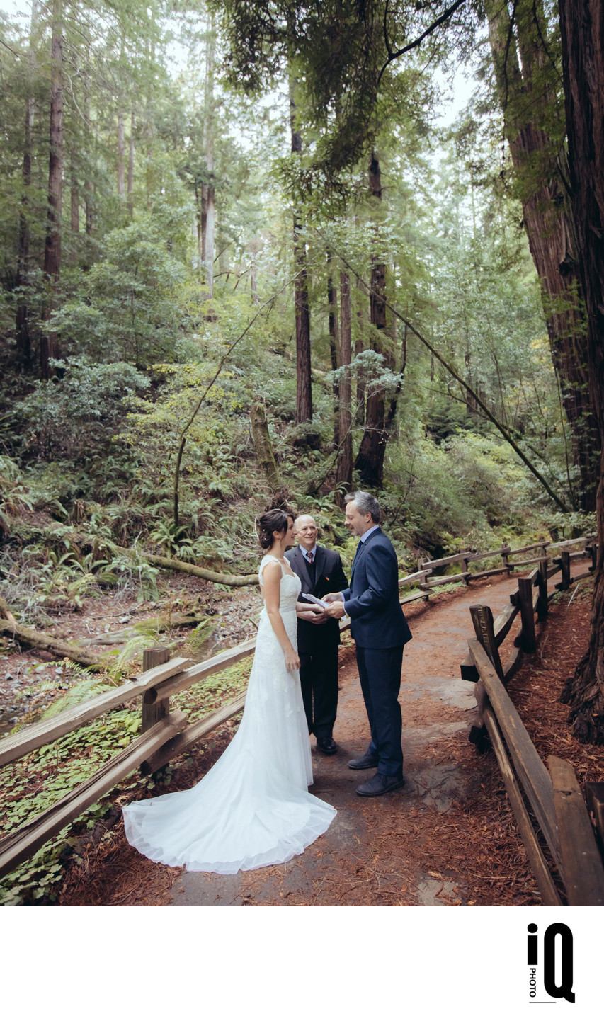 Intimate Ceremony at Muir Woods