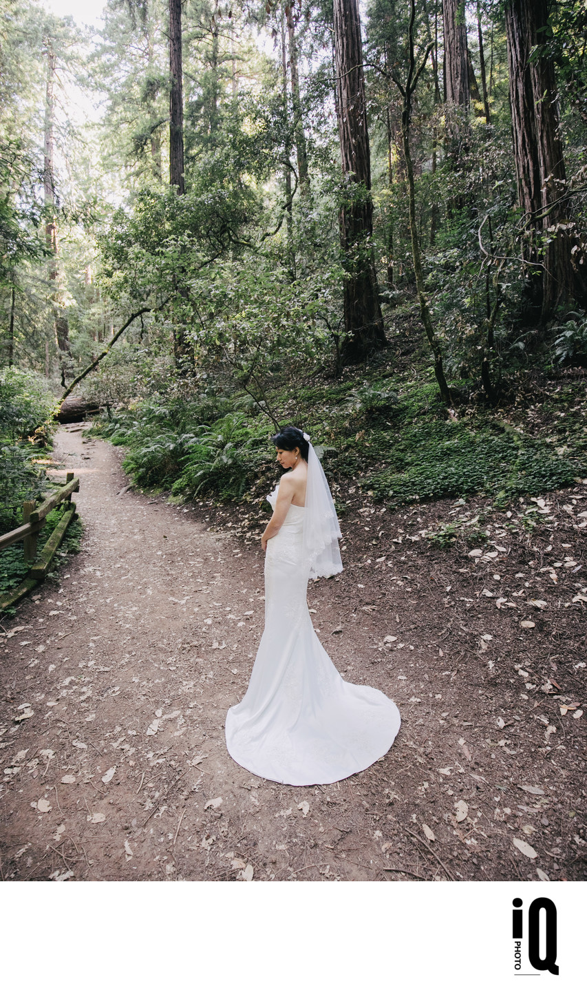 Muir Woods Bride