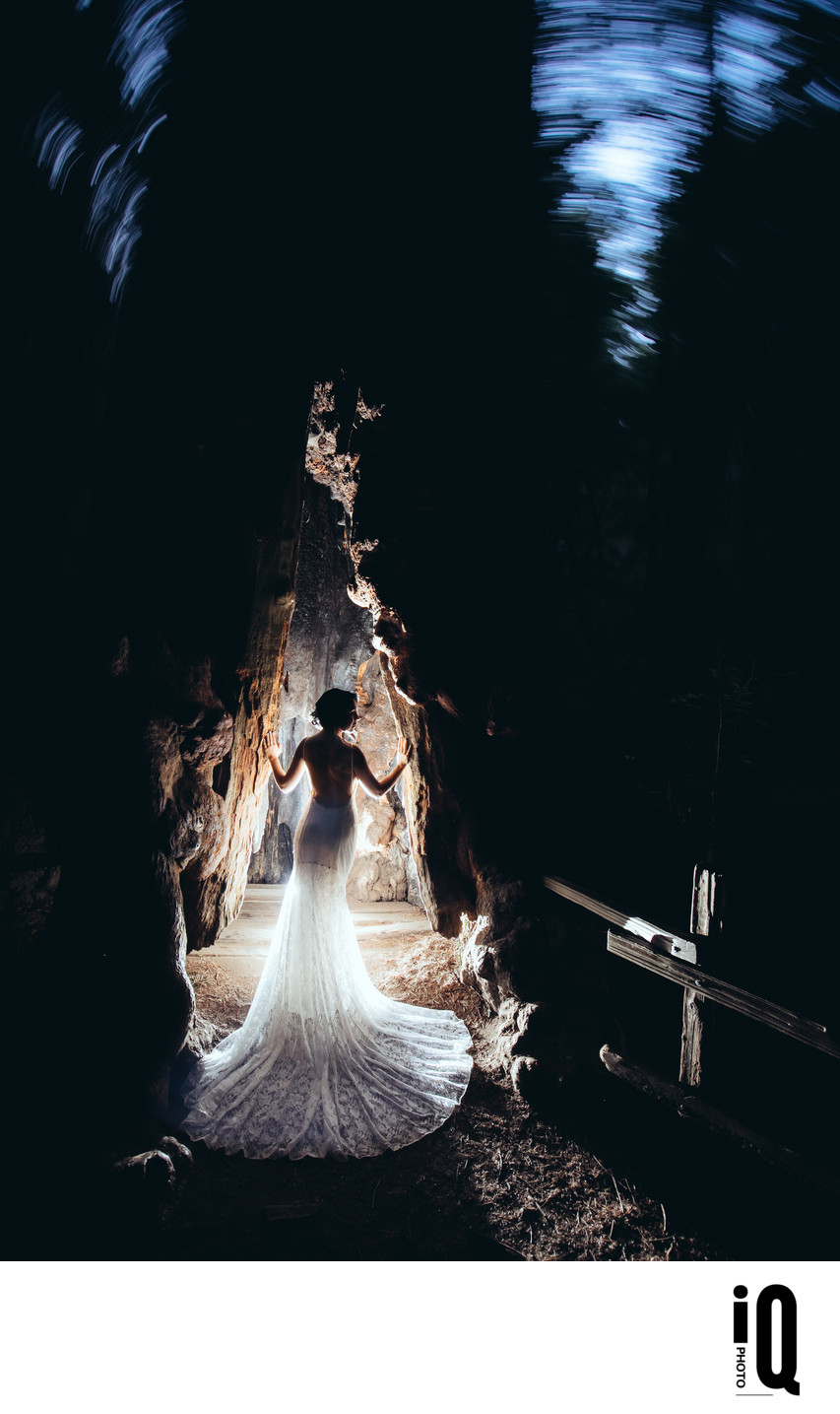 Bride at Muir Woods