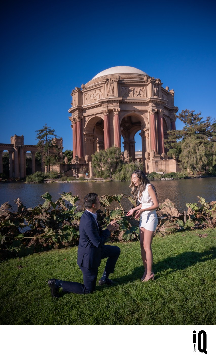The Palace of Fine Arts Proposal SF