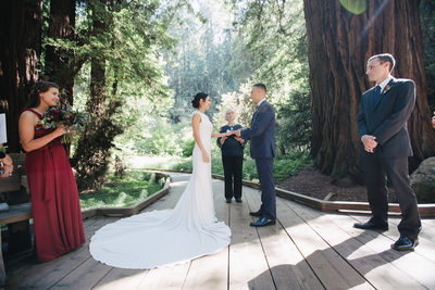 Getting Married at Muir Woods
