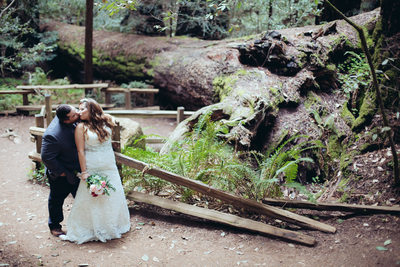 Wedding Kiss in Muir Woods