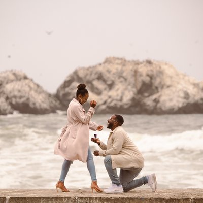 Sutro Baths Proposal by the Ocean