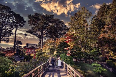 Japanese Tea Gardens Proposal