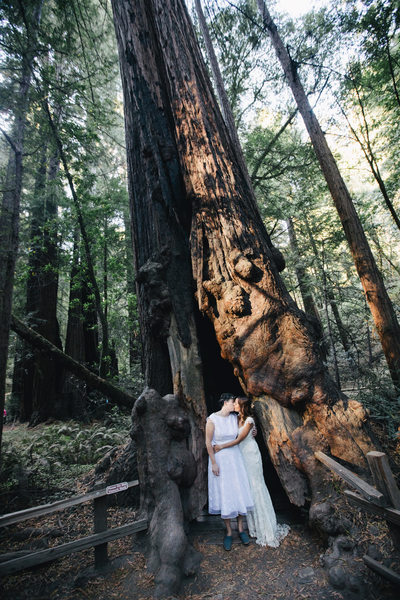 Two Brides at Muir Woods