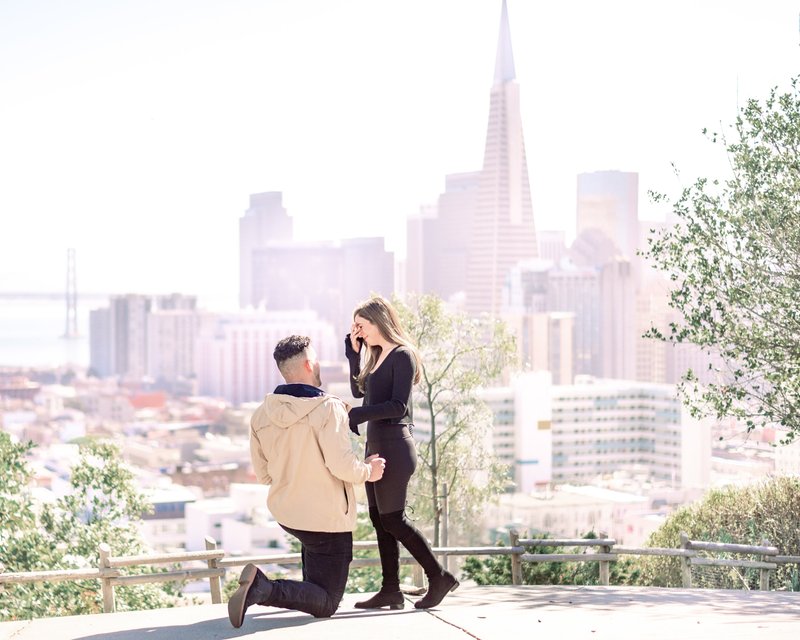 Ina Coolbrith Park proposal with San Francisco skyline
