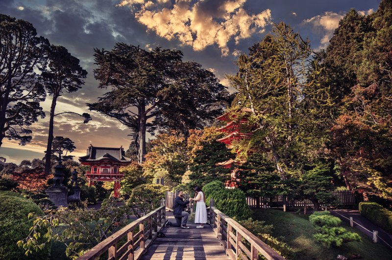 Japanese Tea Garden proposal in San Francisco