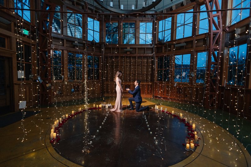 Indoor proposal at Sunnyside Conservatory in San Francisco