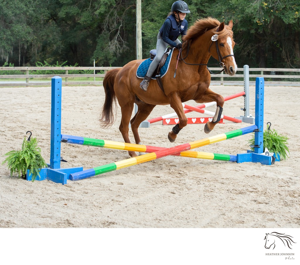 Middle Place Pony Club -Middleton Place Equestrian Center - Charleston, SC - Heather Johnson Photo 