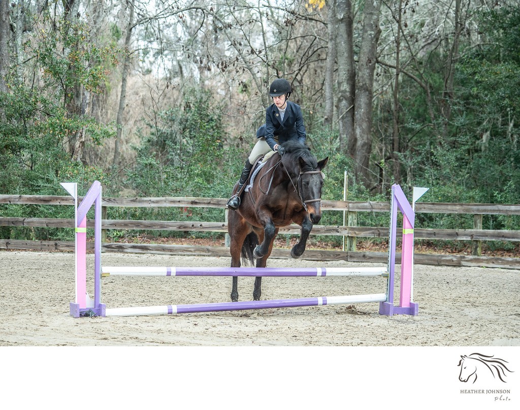 Event horse portrait - Middleton Equestrian Center - Charleston, SC - Heather Johnson Photo 