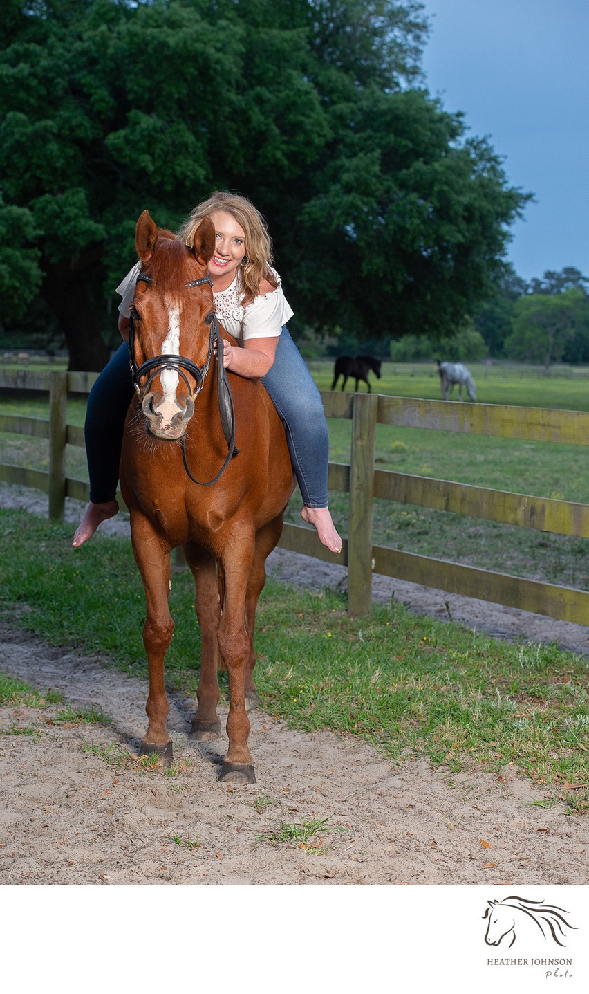 Portrait of an Arabian Horse - Middleton Equestrian Center - Charleston, SC