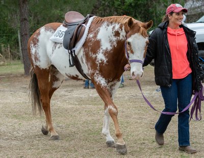 Applousa Horse and owner - Wewishwehadda Farm, St. George, South Carolina - Heather Johnson Photo 