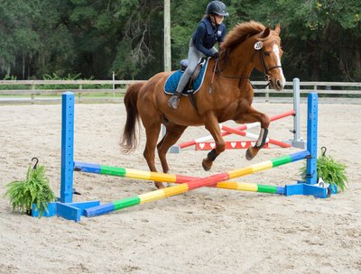 Middle Place Pony Club -Middleton Place Equestrian Center - Charleston, SC - Heather Johnson Photo 